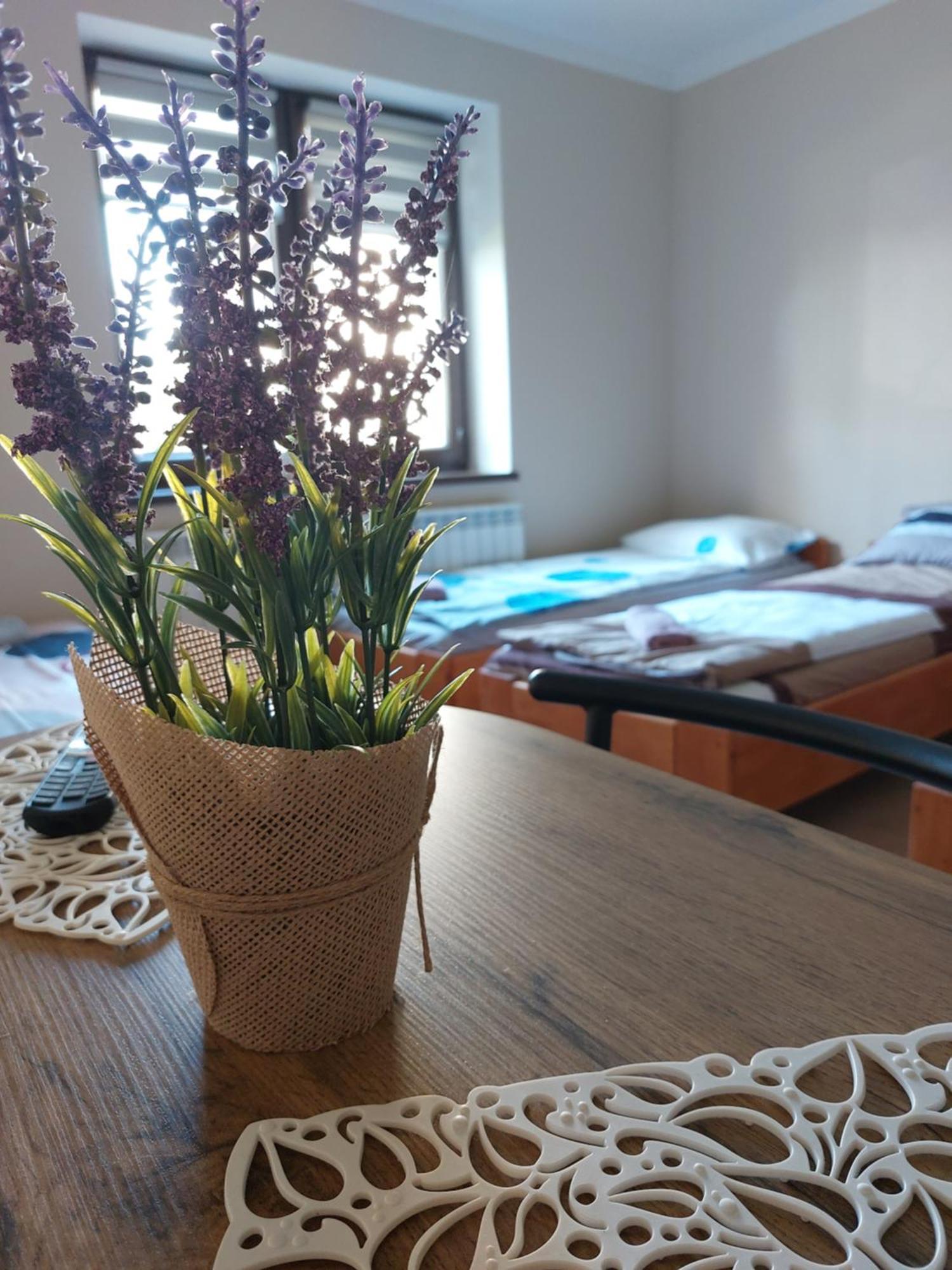Apartament Lawendowy Zakatek Graboszyce Zewnętrze zdjęcie
